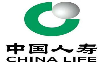 写人寿保险的心得体会7篇