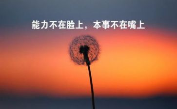 试用期个人心得体会模板8篇