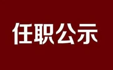 任职前个人总结范文8篇