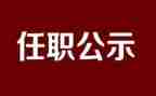 任职前个人总结范文8篇
