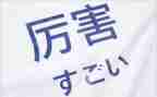 日语专业的简历模板6篇