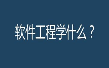 软件工程师试用期转正工作总结6篇