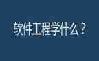 软件工程师试用期转正工作总结6篇