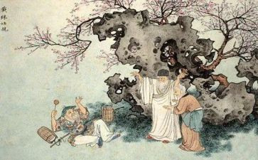 儒林外史读后感500字7篇