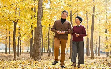 散步教案优质6篇