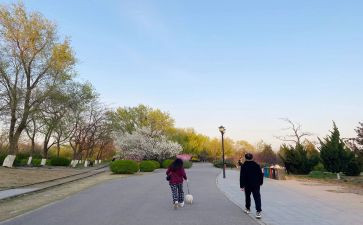 散步初一教案8篇