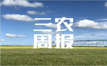 2024三农工作总结8篇