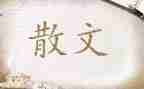 迟子建散文读后感800字优质8篇