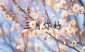 村三月份工作总结7篇