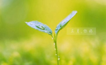 幼儿园教师三月总结5篇