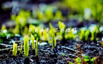 幼儿园三月工作总结参考8篇