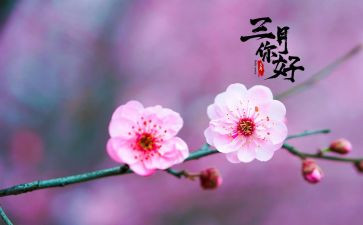 教师三月工作总结5篇