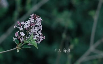 幼儿三月工作总结6篇