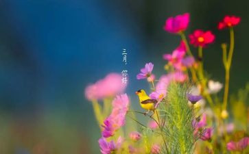 三月雷锋月活动总结6篇
