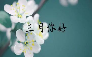 村三月份工作总结参考8篇