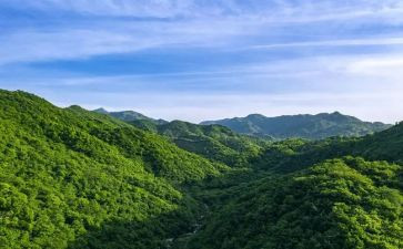 阿长与《山海经》的心得体会6篇
