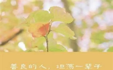 演讲稿《友善》500字5篇