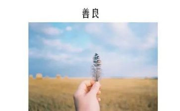 作文百善孝为先800字作文7篇
