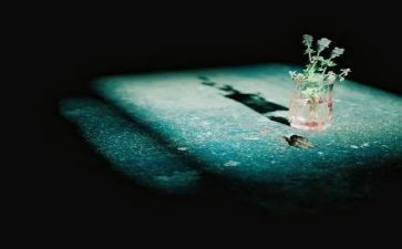 伤害作文600字8篇