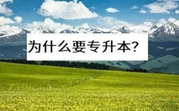 不专升本申请书推荐5篇