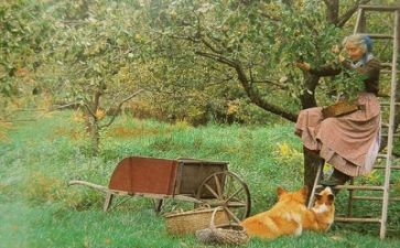 生活中的画作文推荐8篇