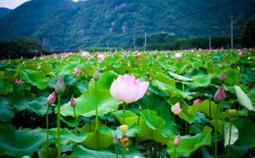 生活需要作文600字最新6篇