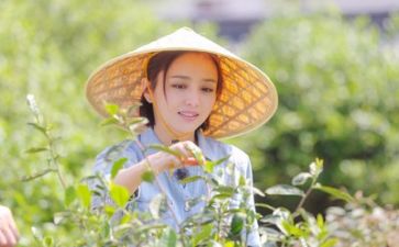 假生活作文300字参考7篇