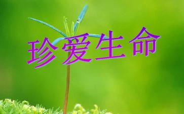 珍爱生命保安全演讲稿最新5篇