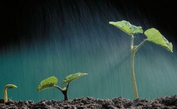 生命的姿势读后感7篇