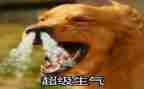 我生气啦作文300字8篇