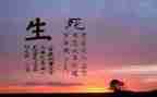 生与死演讲稿800字优秀7篇