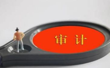 被审计人述职报告7篇