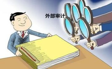 半年审计工作总结参考8篇