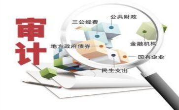 审计前调查报告7篇
