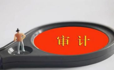 上半年审计局工作总结6篇