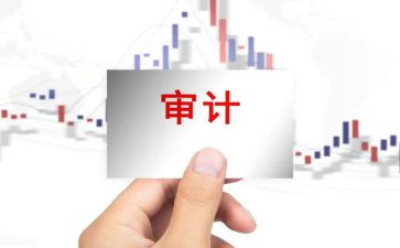 审计局年终工作总结6篇