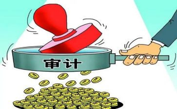 审计局半年总结7篇