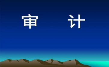 审计半年度工作总结优质5篇