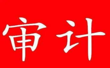 审计办工作总结优秀5篇
