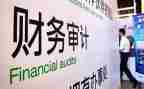 审计个人总结6篇