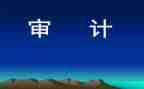 审计半年度工作总结优质5篇