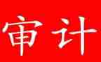 审计办工作总结优秀5篇