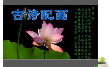 读古诗词读后感6篇