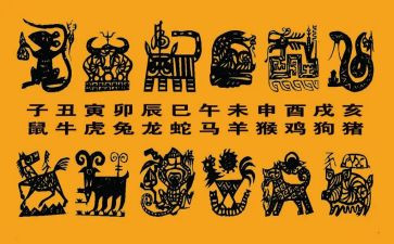 十二生肖教案7篇