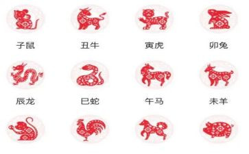 十二生肖大班教案范文精选8篇