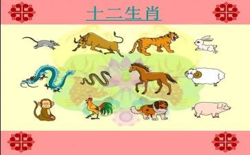 十二生肖教案最新6篇