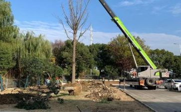 施工企业半年度工作总结8篇