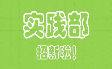 学生实践部的工作总结6篇