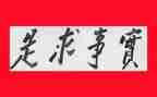 我为群众办实事实践活动工作总结8篇