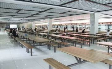 食堂管理工作个人总结8篇
